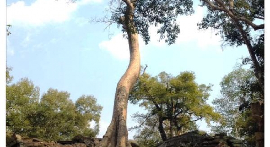 Angkor Wat, Siem Reap, Cambodia