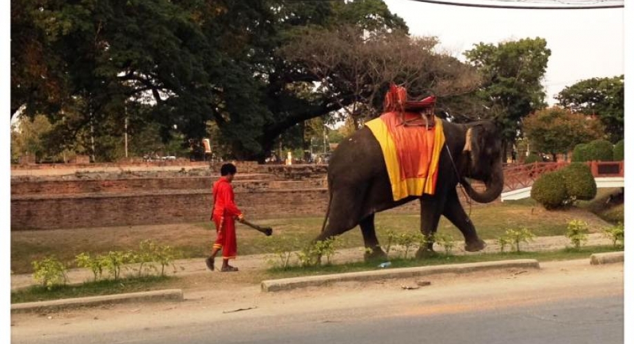 Ayutthaya - Thailand