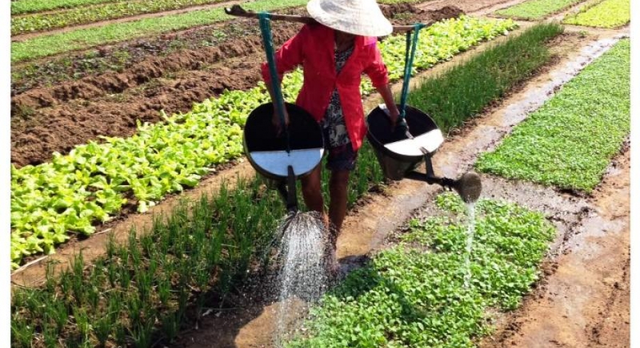 Hoi An, Quang Nam-Da Nang, Vietnam