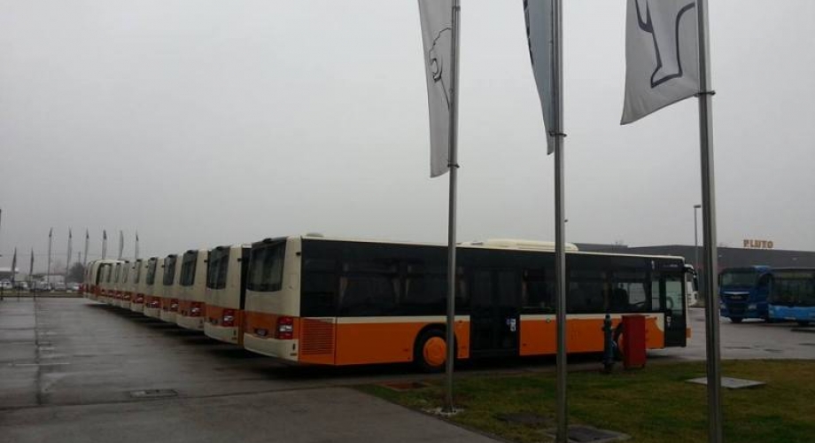 Foto: Marko Mišić