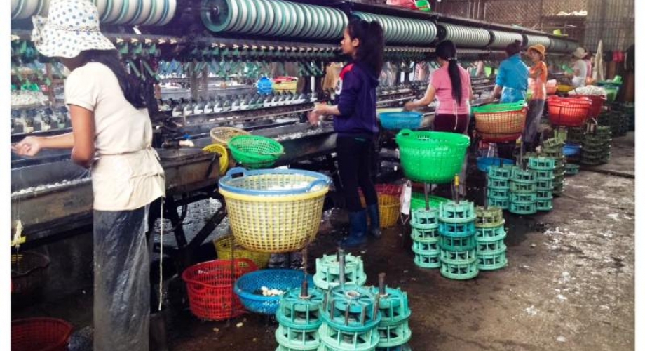 Tvornica svile - Dalat, Vietnam