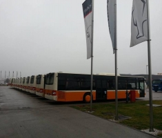 Foto: Marko Mišić