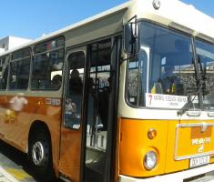 autobus Pile