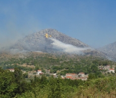 Foto: Nikša Ivančević