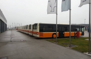 Foto:Marko Mišić